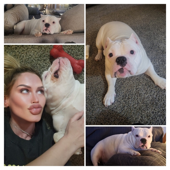 Meet your Posher 🫶 - Picture 1 of 1